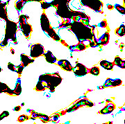 Enlarged, unblurred surface detail of Turtle, showing individual colors.