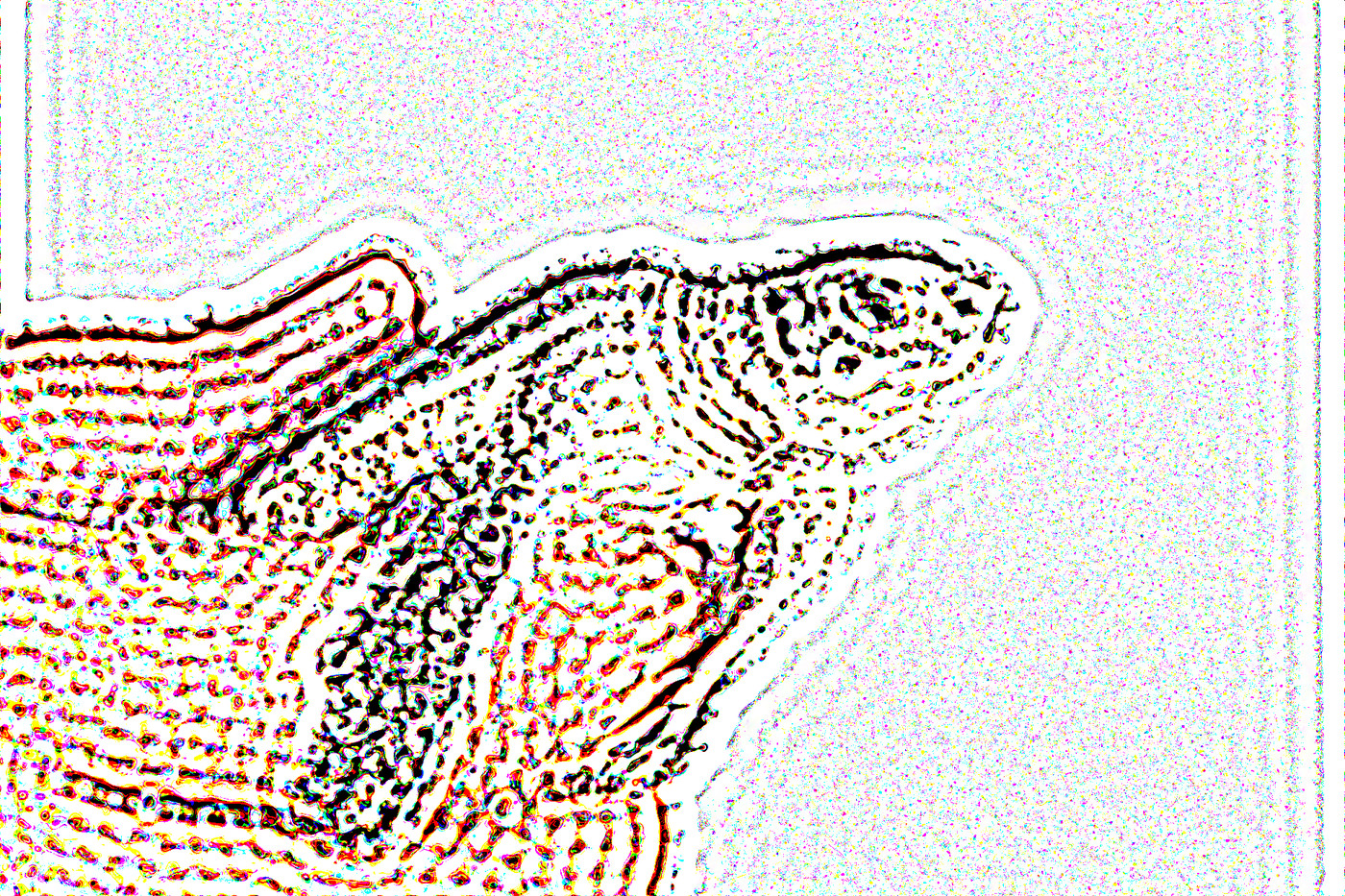 Colored edges and fine speckling reveal a green sea turtle under the intended optical blur..